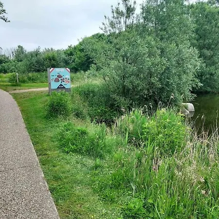 Pura Vida Ostend